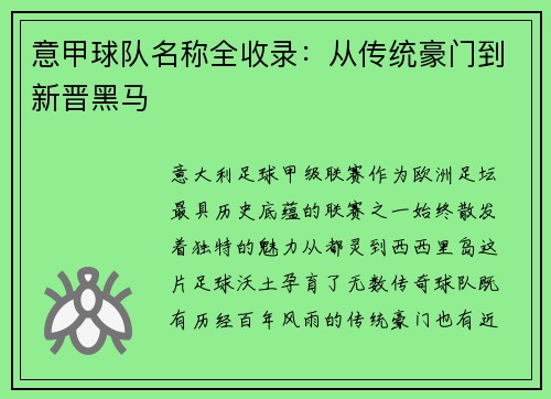 意甲球队名称全收录：从传统豪门到新晋黑马
